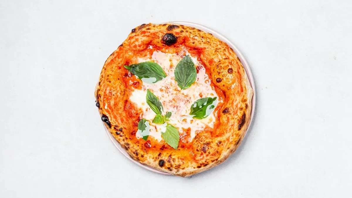 Tina Turner- Simply the best a.k.a Margherita 🌿 -20%