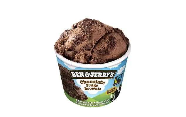Ben & Jerry's Chocolate Fudge Brownie 100 ml