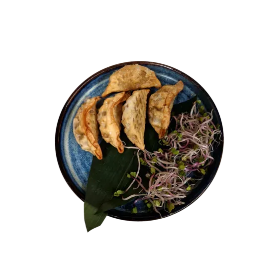 Pierożki Age Gyoza z warzywami 5szt.