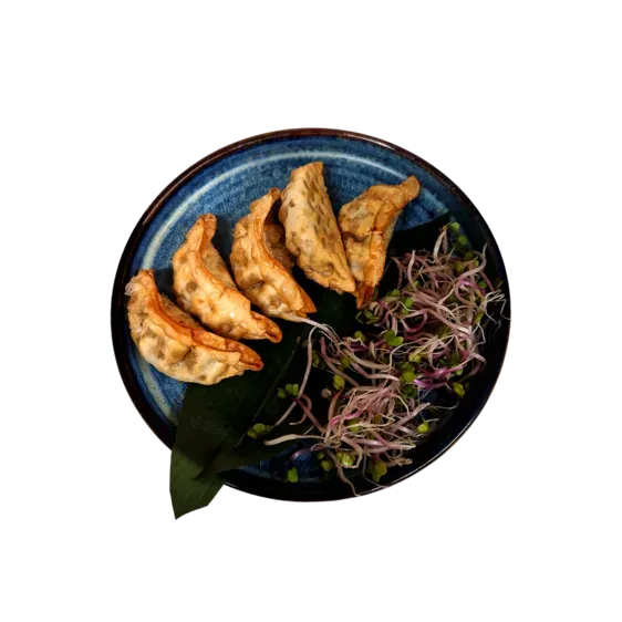 Pierożki Age Gyoza z kurczakiem i grzybami 5szt.