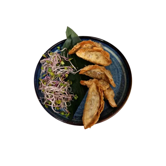 Pierożki Age Gyoza z mięsem 5szt.