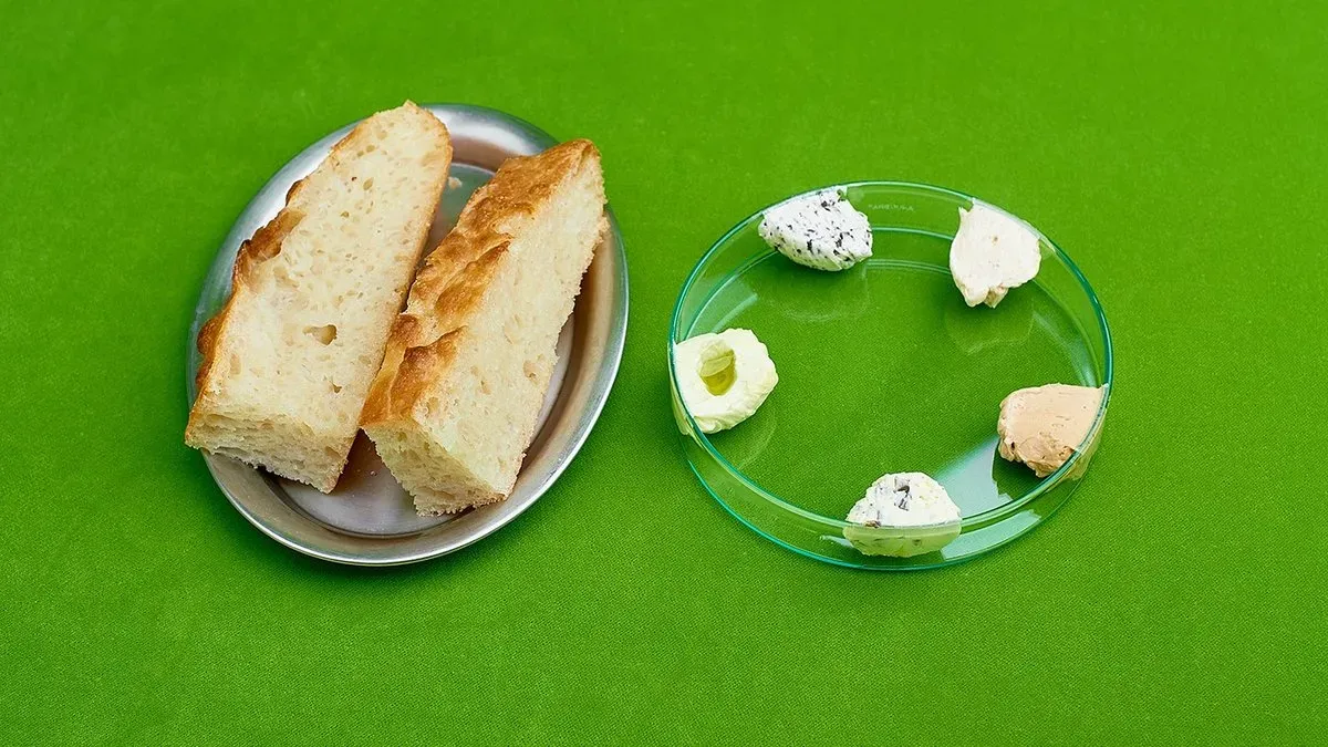 Focaccia z masłami