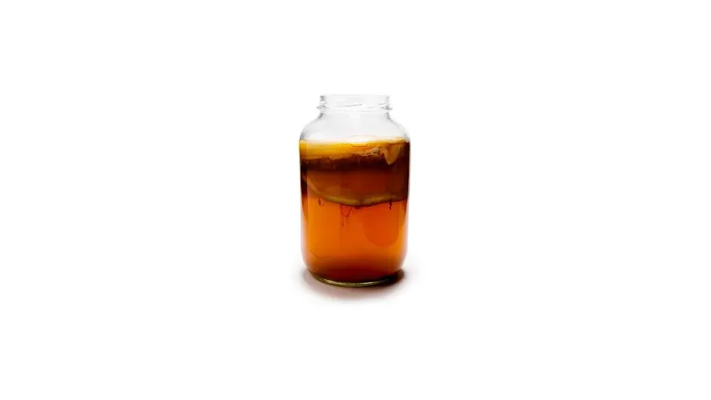 Kombucha 0,3 l