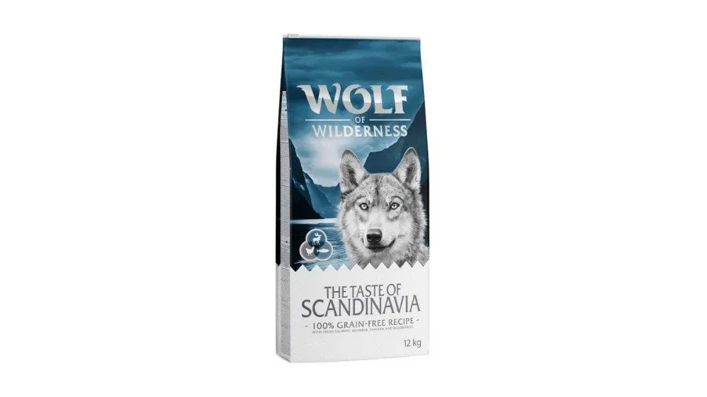 Wolf of wilderness